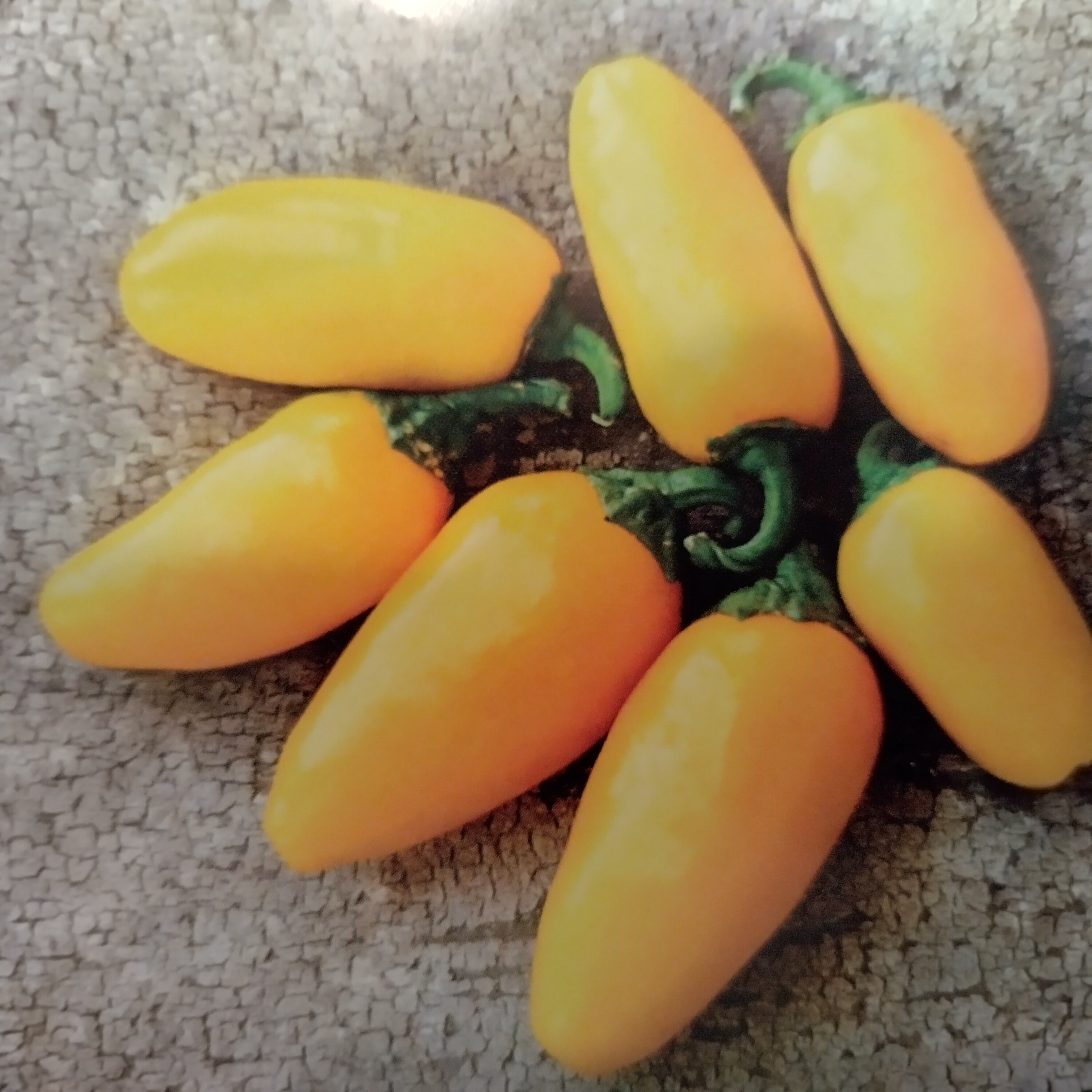 lemonjalapeno.jpg