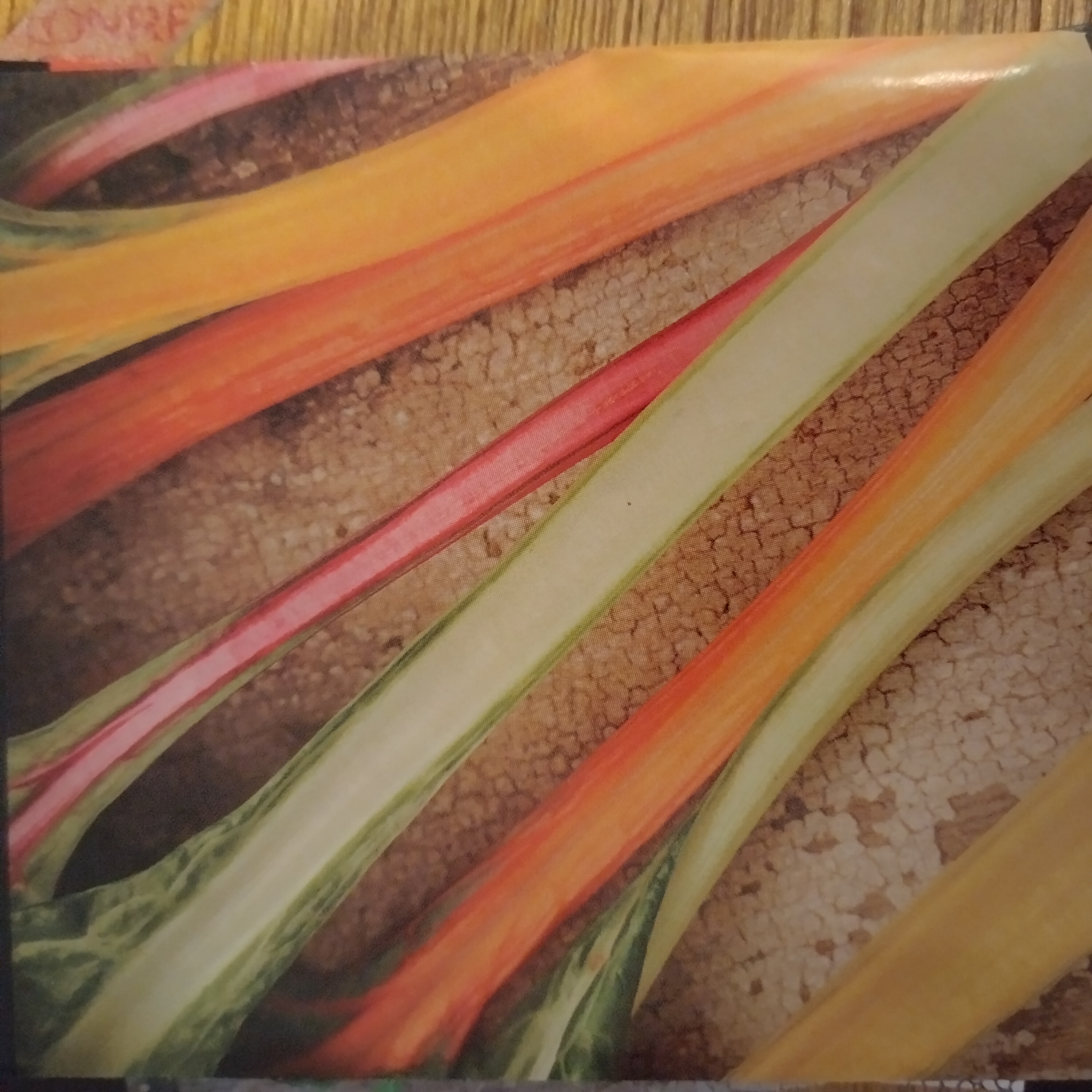swisschard-fivecolor.jpg