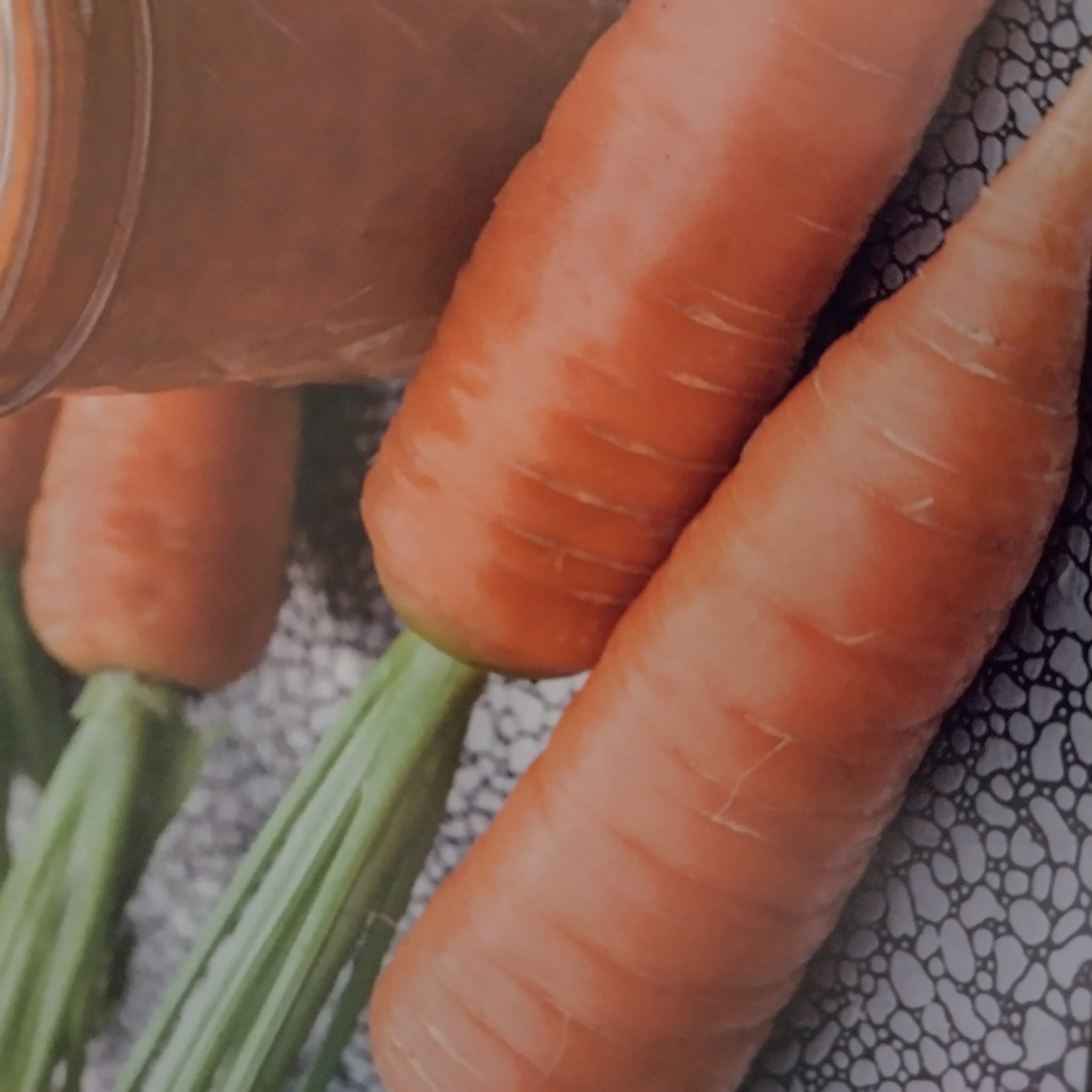 carrot-koral.jpg