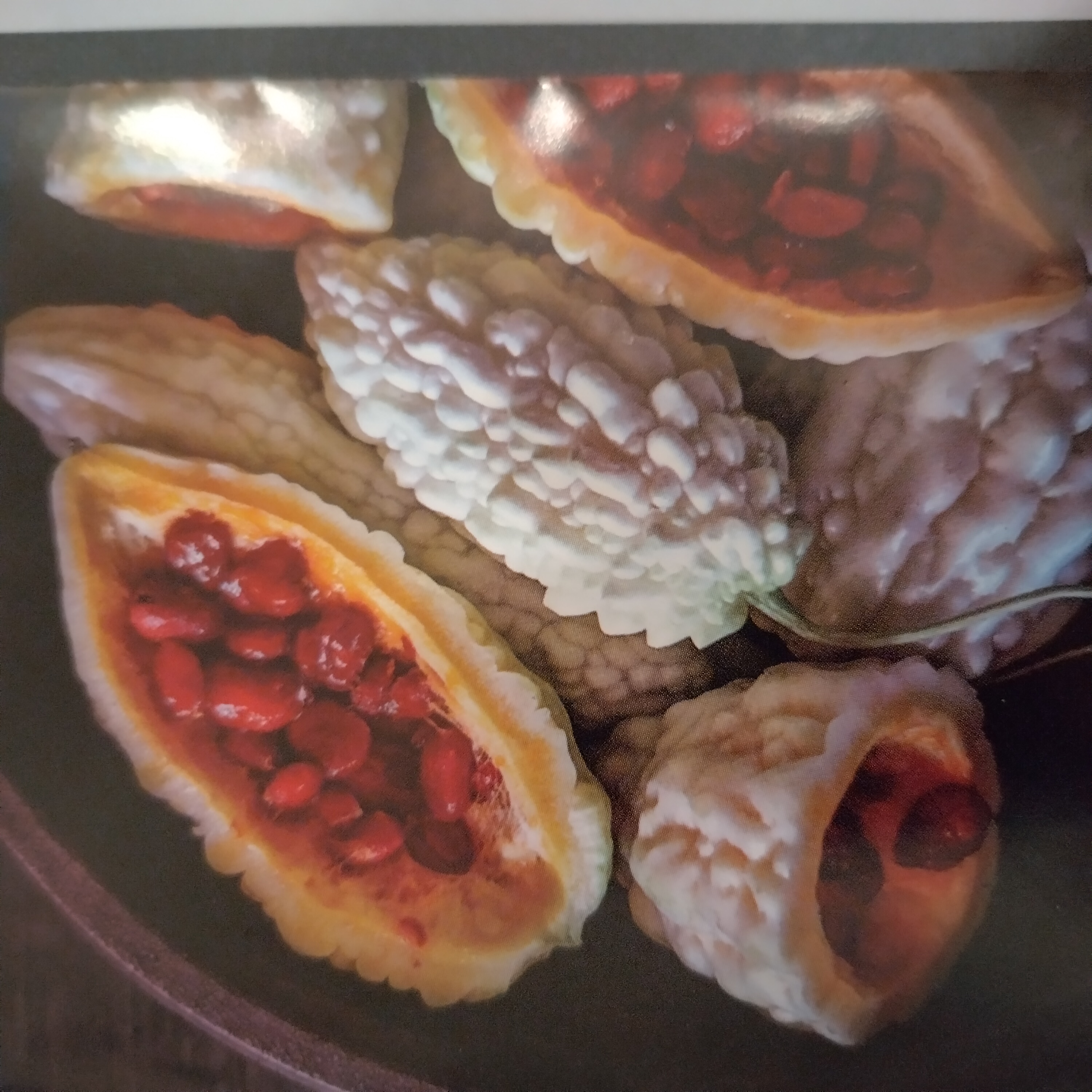 bittermelon-okinawa.jpg