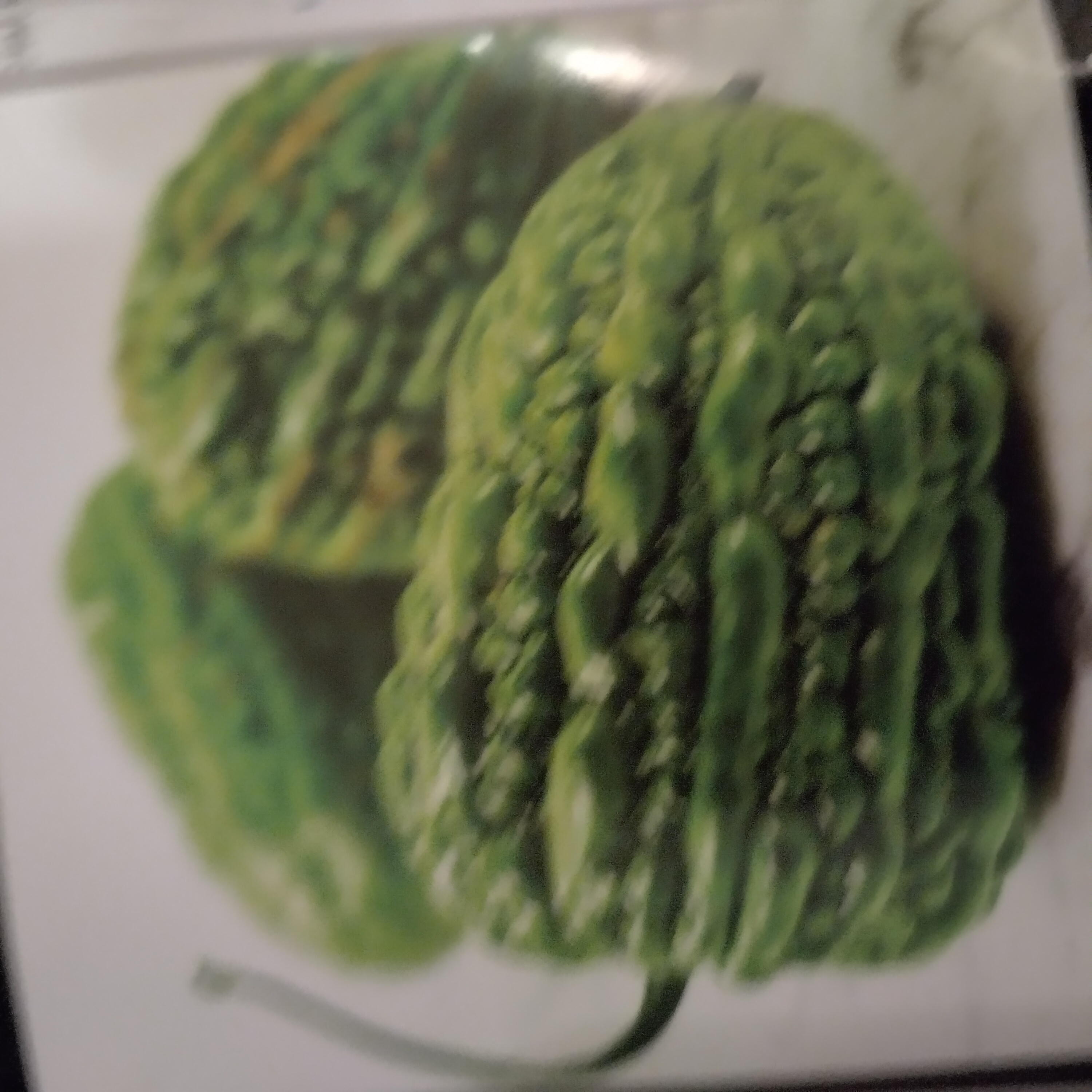 bittermelon-bigtop.jpg